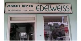 Edelweiss (Πιλάτος Μιχαήλ Α.)