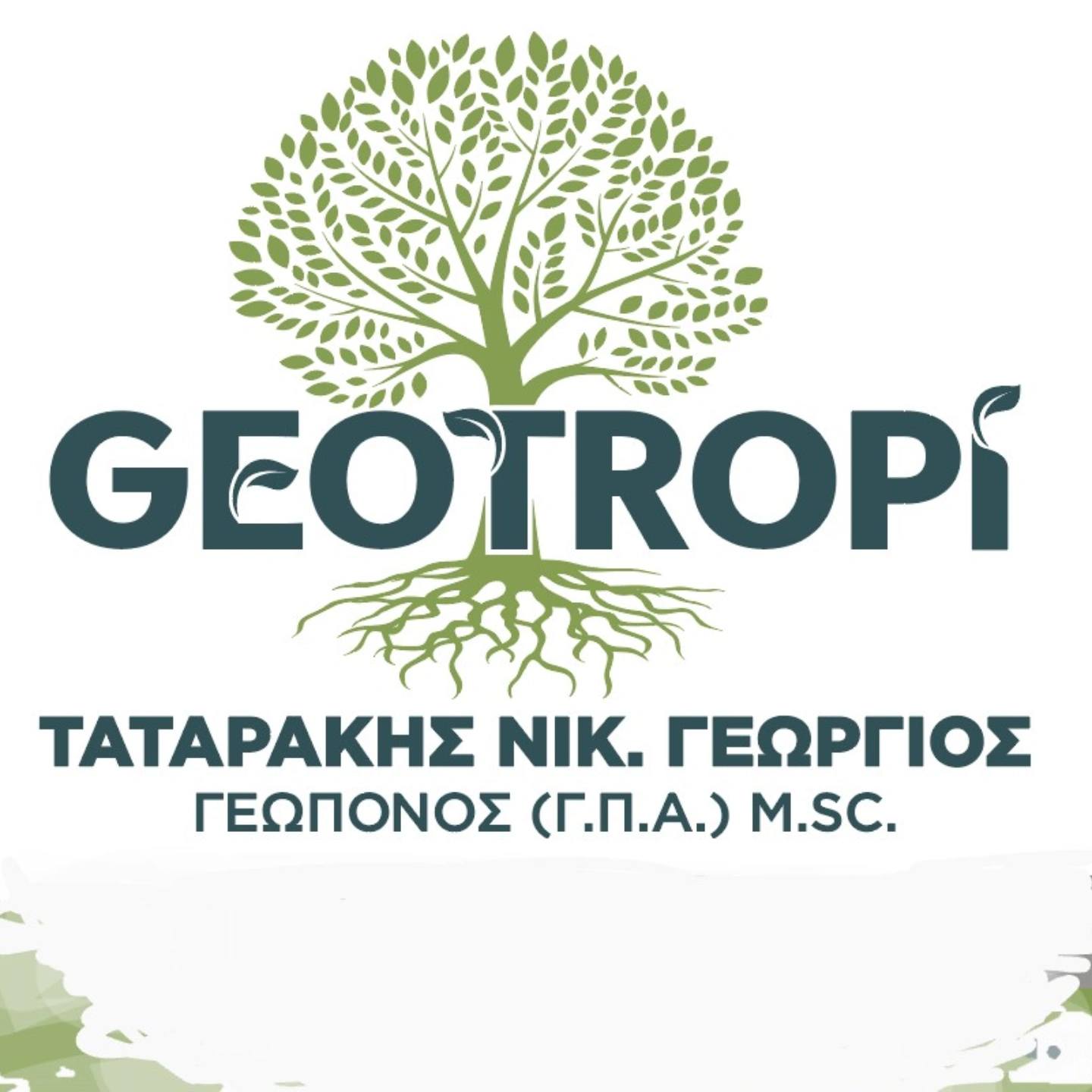 Geotropi